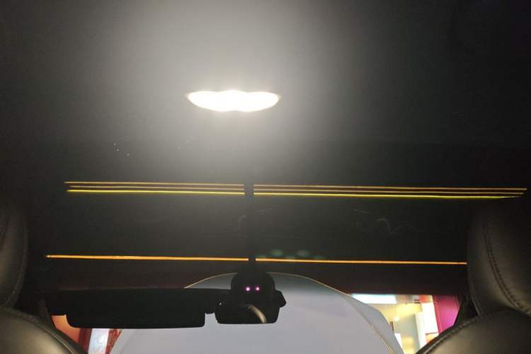 Used Tesla Model X 2023 Dual-Motor All-Wheel-Drive Version Headliner
