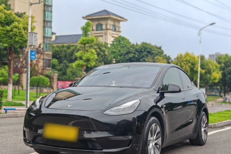 Used Tesla Model Y 2021 Standard Range Rear-Wheel Drive Version Guazi used car, China used car export, Used car for sale, Used cars, Cheapest cars for sale