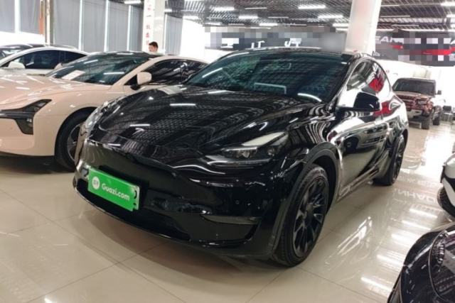 Used Tesla Model Y 2021 Standard Range Rear-Wheel Drive Version