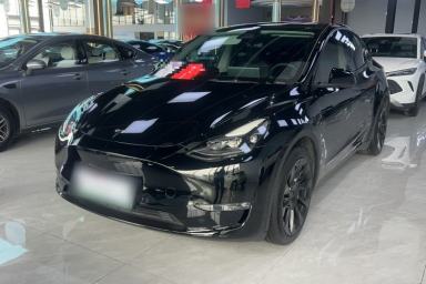 Used Tesla Model Y 2021 Standard Range Rear-Wheel Drive Version
