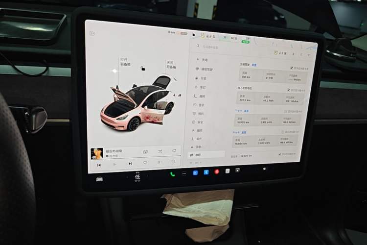 Used Tesla Model Y 2021 Standard Range Rear-Wheel Drive Version Audio And AC Panel