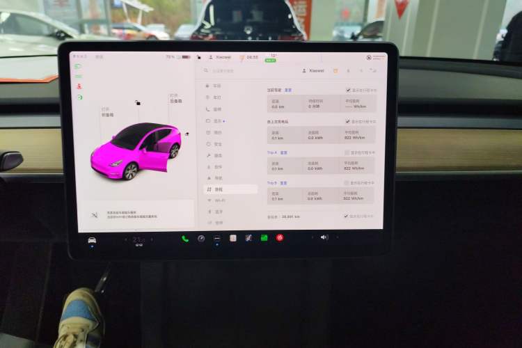 Used Tesla Model Y 2021 Standard Range Rear-Wheel Drive Version Audio And AC Panel