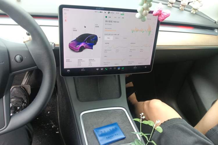 Used Tesla Model Y 2021 Standard Range Rear-Wheel Drive Version Audio And AC Panel