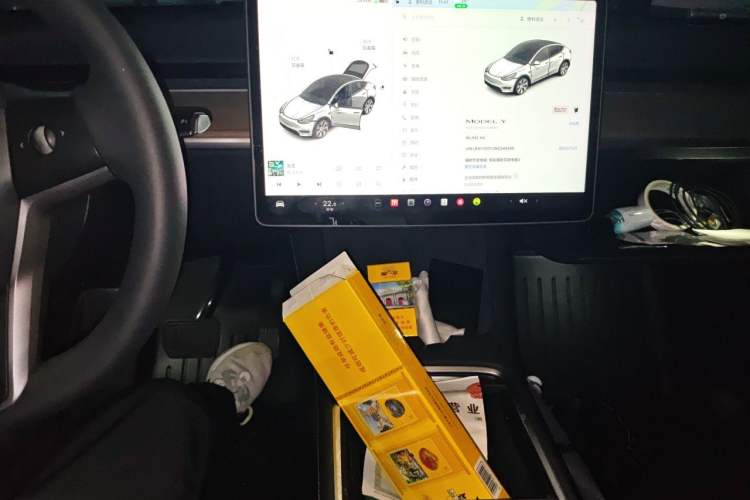 Used Tesla Model Y 2021 Standard Range Rear-Wheel Drive Version Audio And AC Panel