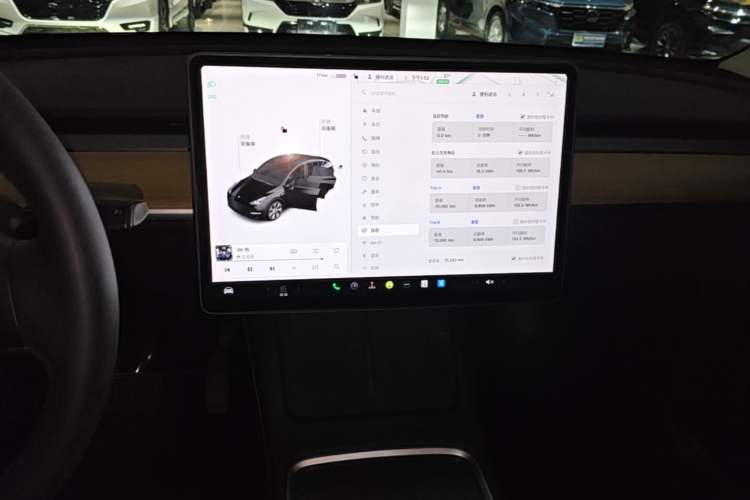 Used Tesla Model Y 2021 Standard Range Rear-Wheel Drive Version Audio And AC Panel