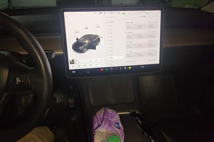 Used Tesla Model Y 2021 Standard Range Rear-Wheel Drive Version Audio And AC Panel