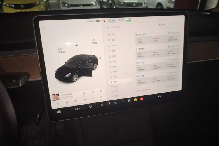 Used Tesla Model Y 2021 Standard Range Rear-Wheel Drive Version Audio And AC Panel