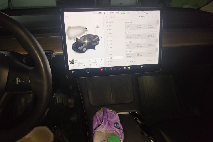 Used Tesla Model Y 2021 Standard Range Rear-Wheel Drive Version Audio And AC Panel