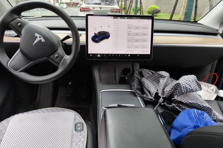 Used Tesla Model Y 2021 Standard Range Rear-Wheel Drive Version Center Console