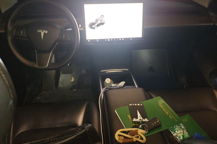 Used Tesla Model Y 2021 Standard Range Rear-Wheel Drive Version
