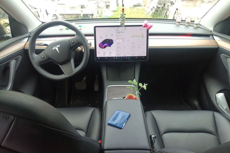 Used Tesla Model Y 2021 Standard Range Rear-Wheel Drive Version Center Console