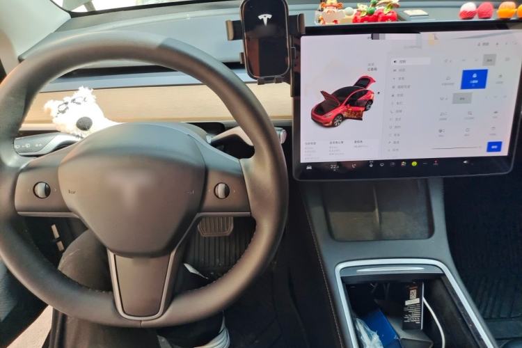 Used Tesla Model Y 2021 Standard Range Rear-Wheel Drive Version Center Console