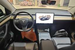 Thumbnail 13