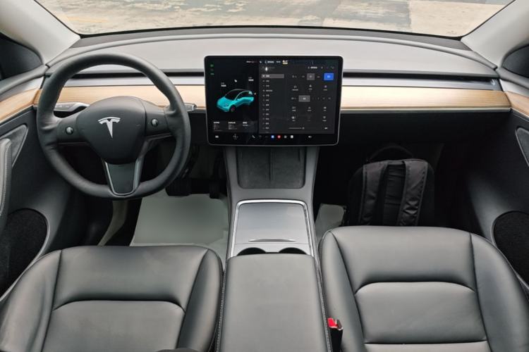 Used Tesla Model Y 2021 Standard Range Rear-Wheel Drive Version Center Console