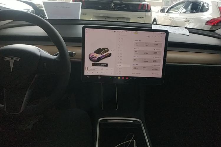 Used Tesla Model Y 2021 Standard Range Rear-Wheel Drive Version Center Console