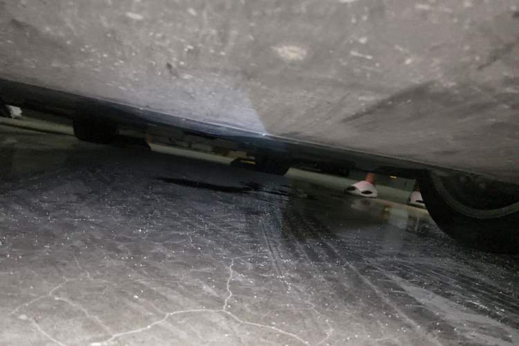 Used Tesla Model Y 2021 Standard Range Rear-Wheel Drive Version Chassis Front