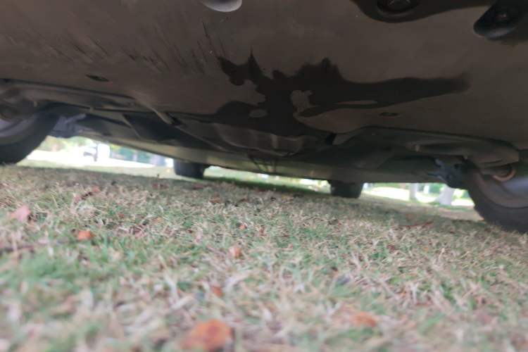 Used Tesla Model Y 2021 Standard Range Rear-Wheel Drive Version Chassis Rear