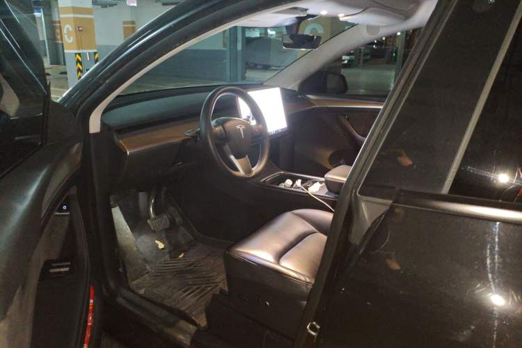 Used Tesla Model Y 2021 Standard Range Rear-Wheel Drive Version
