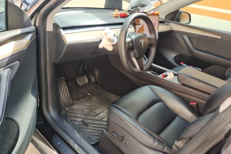 Used Tesla Model Y 2021 Standard Range Rear-Wheel Drive Version Driver Seat
