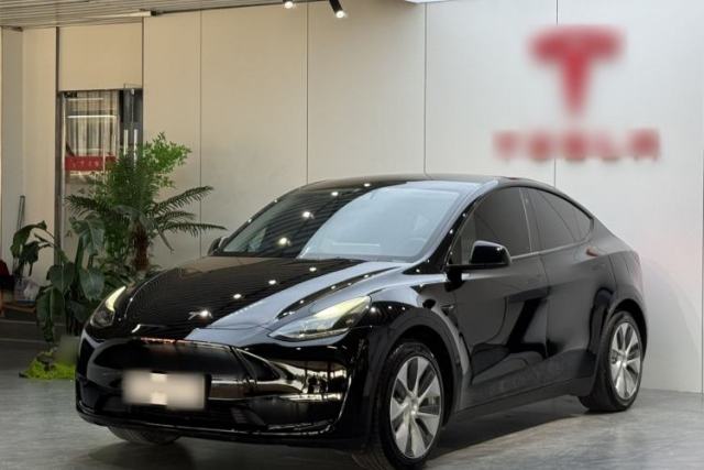 Used Tesla Model Y 2021 Standard Range Rear-Wheel Drive Version
