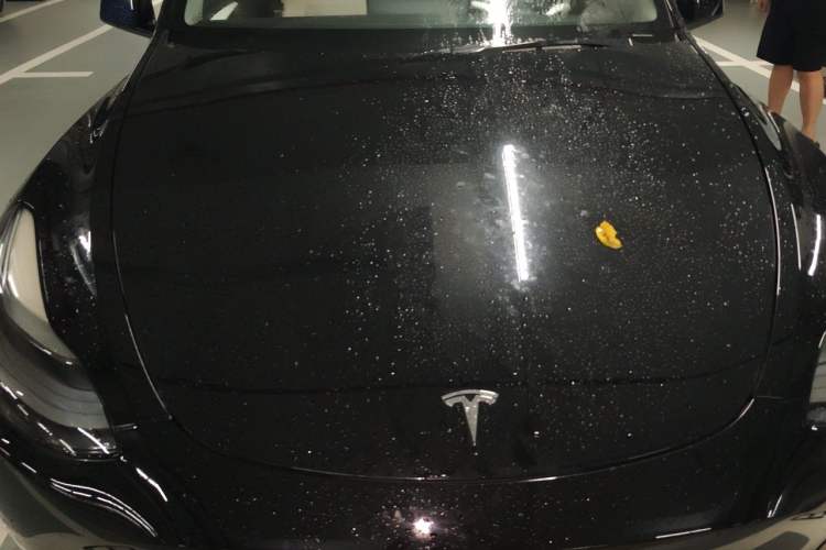 Used Tesla Model Y 2021 Long-Range All-Wheel-Drive Version Engine Bay