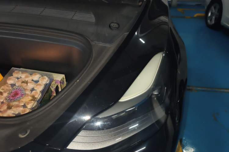 Used Tesla Model Y 2021 Standard Range Rear-Wheel Drive Version Engine Bay Left