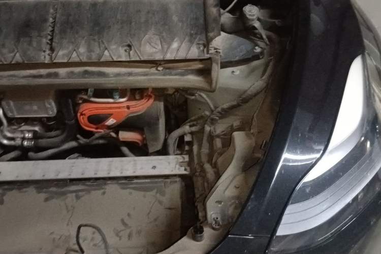 Used Tesla Model Y 2021 Standard Range Rear-Wheel Drive Version Engine Bay Left