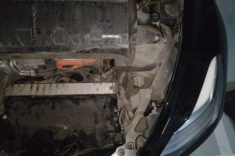 Used Tesla Model Y 2021 Standard Range Rear-Wheel Drive Version Engine Bay Left
