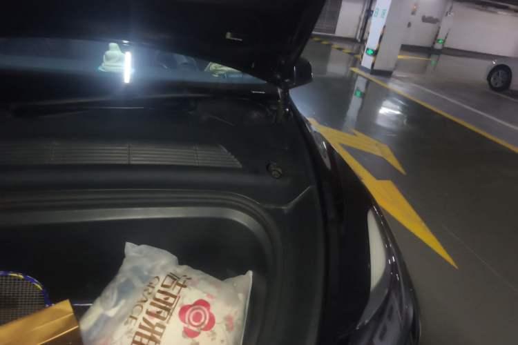 Used Tesla Model Y 2021 Standard Range Rear-Wheel Drive Version Engine Bay Left