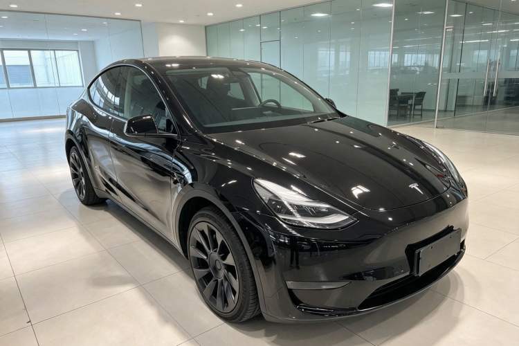 Used Tesla Model Y 2021 Standard Range Rear-Wheel Drive Version Exterior 1