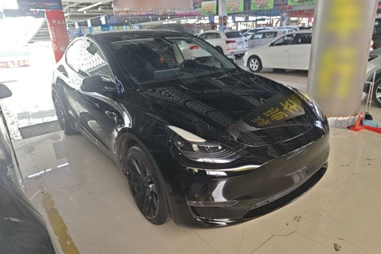 Used Tesla Model Y 2021 Standard Range Rear-Wheel Drive Version Exterior 1