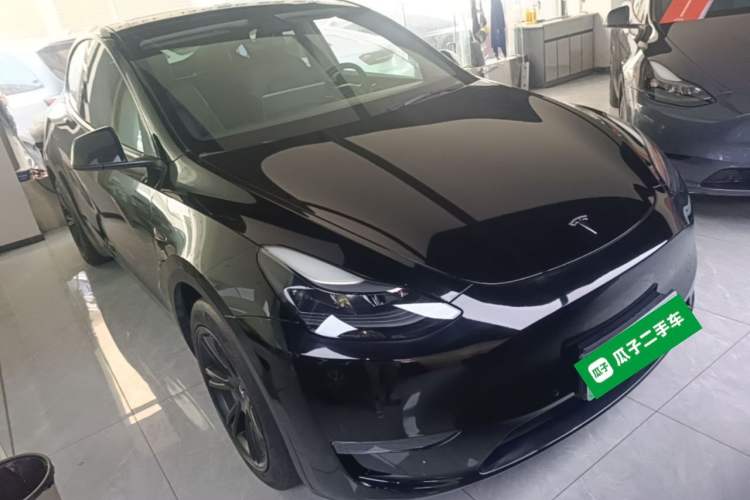 Used Tesla Model Y 2021 Standard Range Rear-Wheel Drive Version Exterior 1