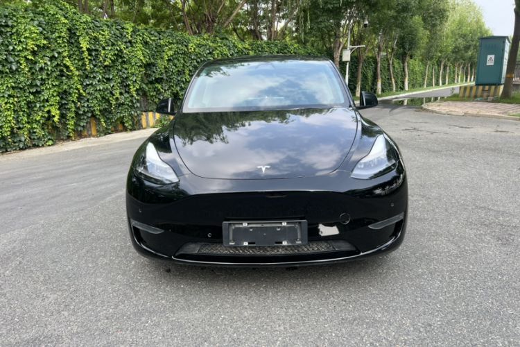 Used Tesla Model Y 2021 Long-Range All-Wheel-Drive Version Exterior 1