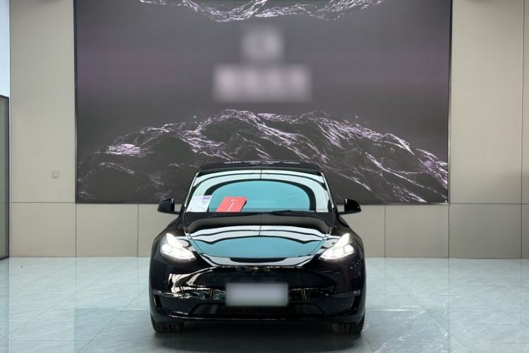 Used Tesla Model Y 2021 Standard Range Rear-Wheel Drive Version Exterior 1