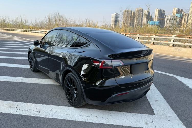 Used Tesla Model Y 2021 Standard Range Rear-Wheel Drive Version Exterior 1