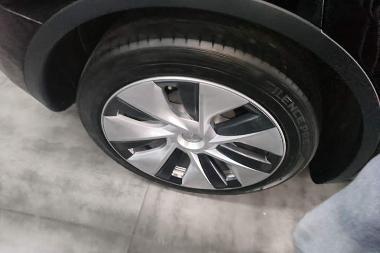 Used Tesla Model Y 2021 Standard Range Rear-Wheel Drive Version Exterior 1