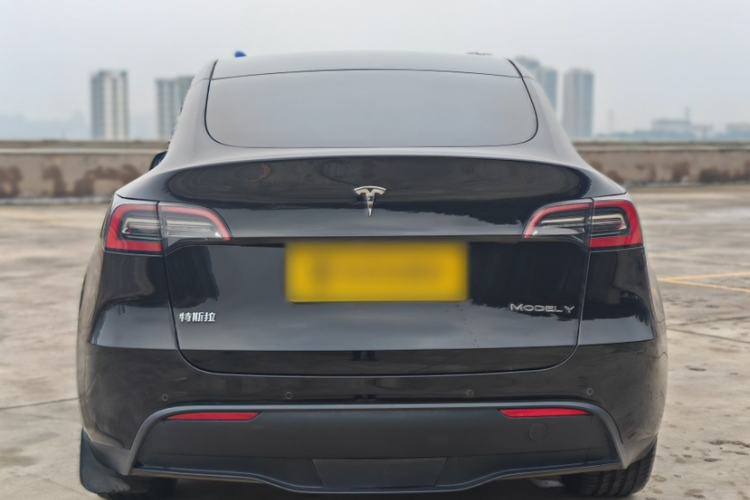 Used Tesla Model Y 2021 Standard Range Rear-Wheel Drive Version Exterior 1