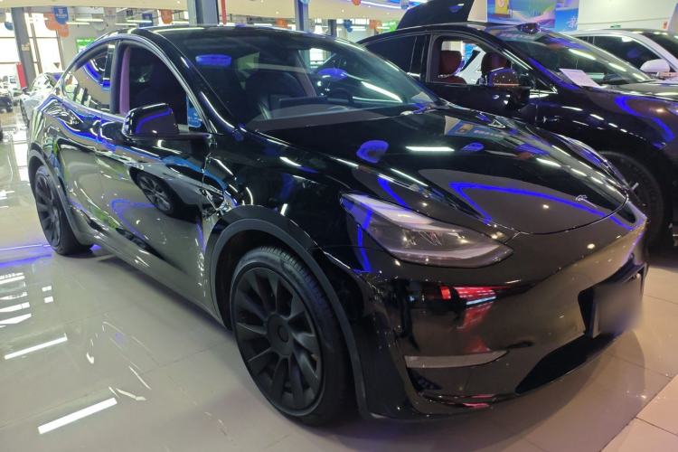 Used Tesla Model Y 2021 Standard Range Rear-Wheel Drive Version Exterior 1