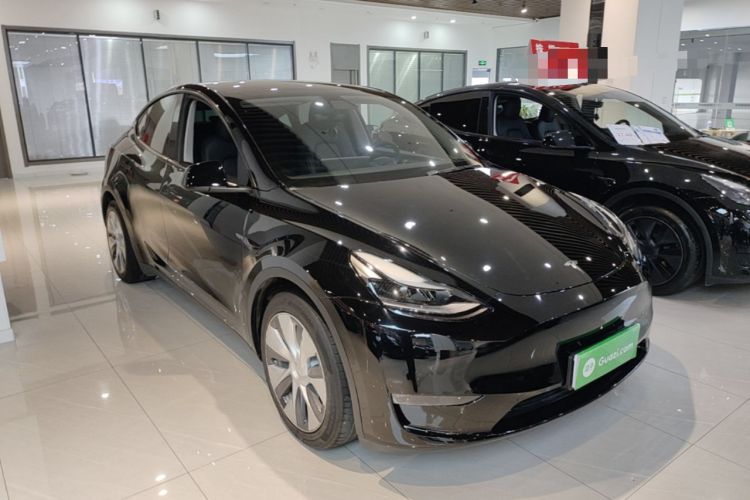 Used Tesla Model Y 2021 Standard Range Rear-Wheel Drive Version Exterior 1