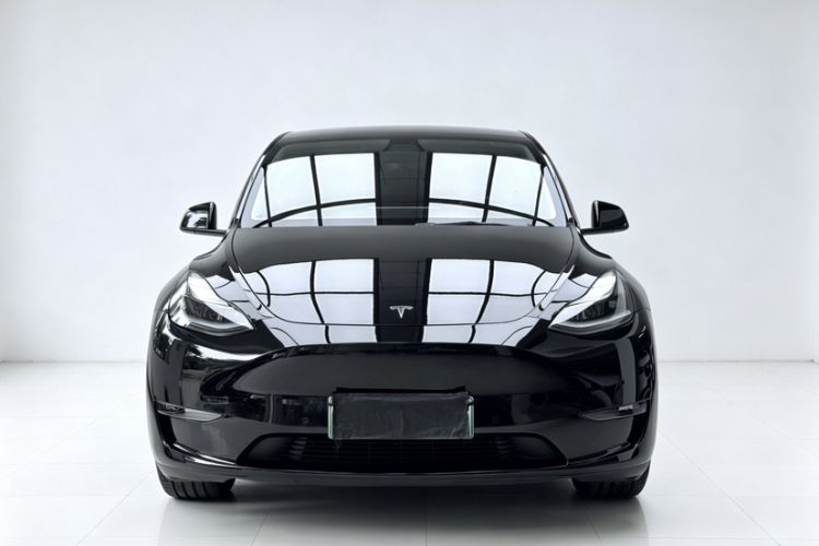 Used Tesla Model Y 2021 Standard Range Rear-Wheel Drive Version Exterior 1