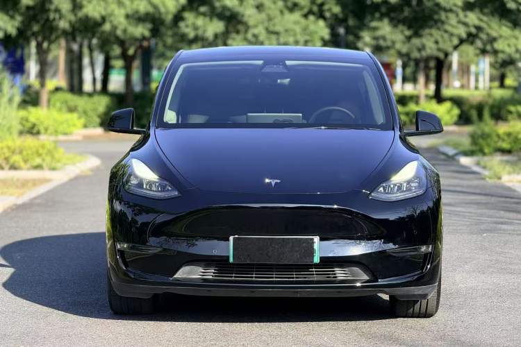 Used Tesla Model Y 2021 Standard Range Rear-Wheel Drive Version Exterior 1