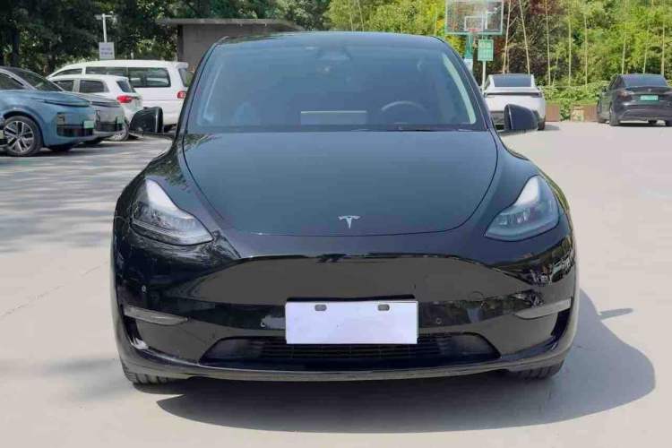 Used Tesla Model Y 2021 Standard Range Rear-Wheel Drive Version Exterior 1