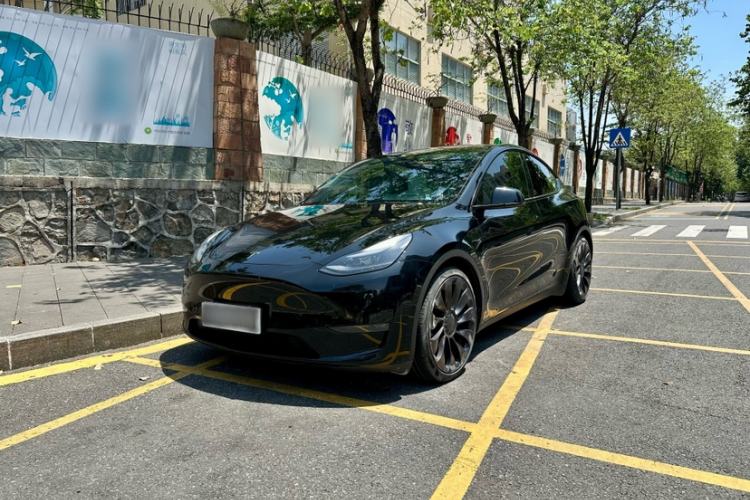 Used Tesla Model Y 2021 Performance High-Performance All-Wheel-Drive Version Exterior 1