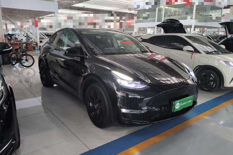 Used Tesla Model Y 2021 Standard Range Rear-Wheel Drive Version Exterior 1