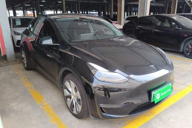 Used Tesla Model Y 2021 Standard Range Rear-Wheel Drive Version Exterior 1