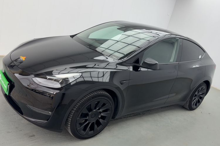 Used Tesla Model Y 2021 Standard Range Rear-Wheel Drive Version Exterior 10