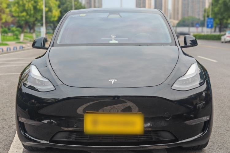 Used Tesla Model Y 2021 Standard Range Rear-Wheel Drive Version Exterior 2