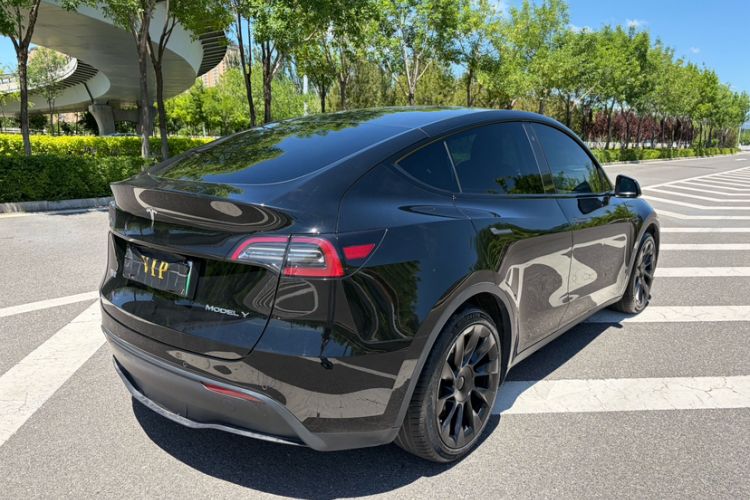 Used Tesla Model Y 2021 Standard Range Rear-Wheel Drive Version Exterior 2