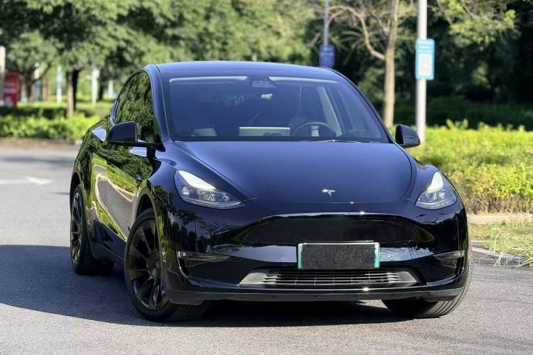 Used Tesla Model Y 2021 Standard Range Rear-Wheel Drive Version Exterior 2