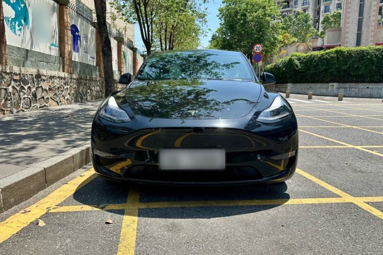 Used Tesla Model Y 2021 Performance High-Performance All-Wheel-Drive Version Exterior 2